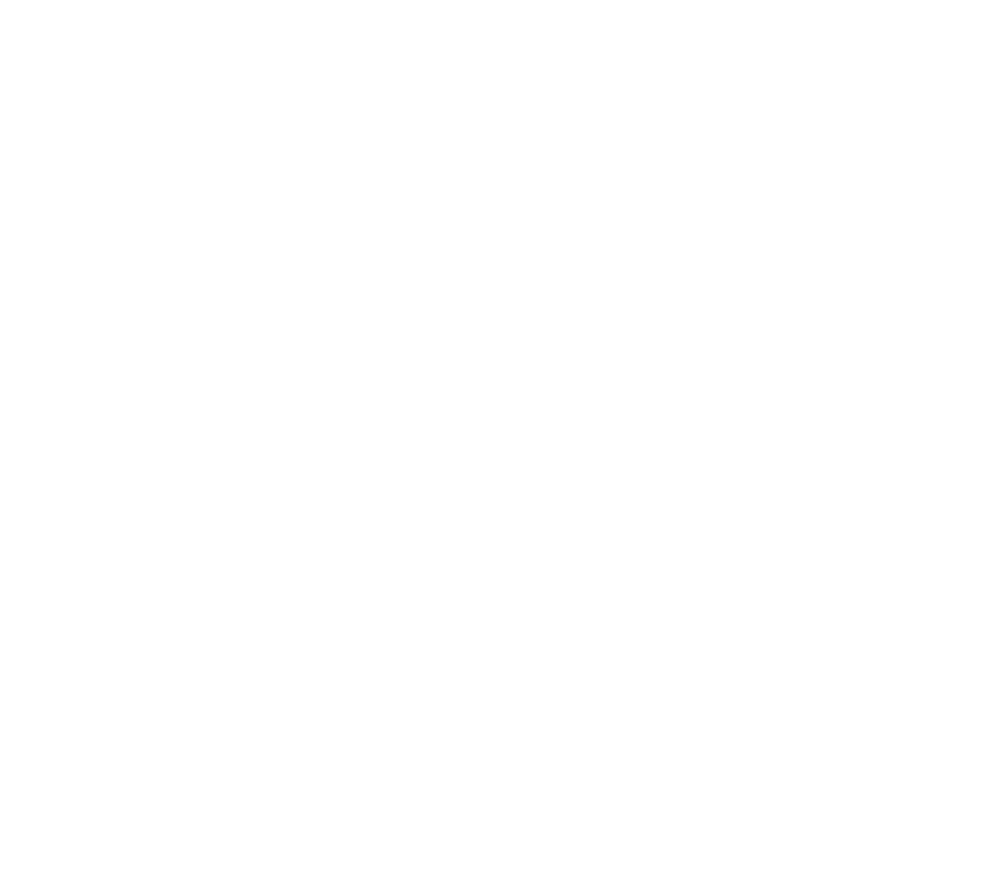 Logo de la campaña Parisi 2026 con fondo blanco